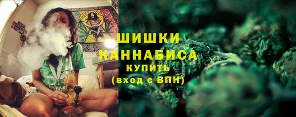 крисы Зерноград