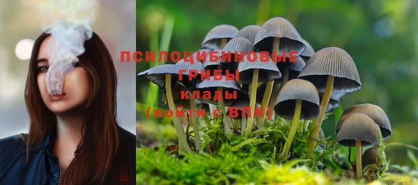 mdma Зеленокумск