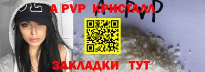 apvp Славгород